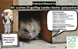 Banner Fotowettbewerb Igelquartier