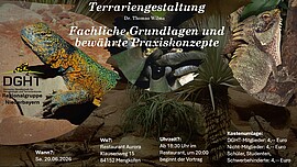 Banner Terrariengestaltung: Fachliche Grundlagen und bewährte Praxiskonzepte
