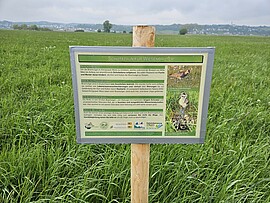 Banner Stunde der Wiesenvögel im Königsauer Moos