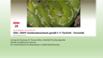 Logo VDA / DGHT-Sachkundenachweis gemäß § 11 TierSchG - Terraristik