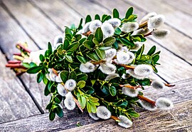 Banner Palmbuschen binden / ABGESAGT