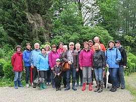 Banner Kräuterwanderung "Hummelflug"