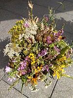 Logo Kräuterbuschen binden 