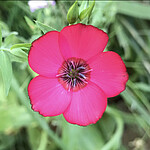 Logo Jahreshauptversammlung 