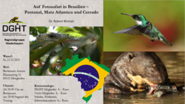Banner Auf Fotosafari in Brasilien – Pantanal, Mata Atlantica und Cerrado