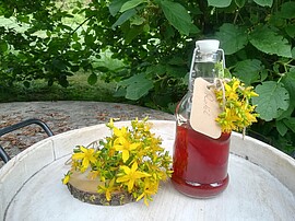 Banner Kräuterwanderung spezial - Johanniskraut & Rotöl zur Sonnwende