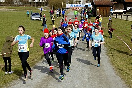 Banner Niederbayer. Crosslauf-Meisterschaft