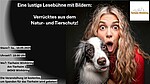 Logo Lustige Lesebühne