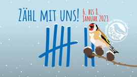 Banner Mach mit! - Stunde der Wintervögel - Zähl mit uns!