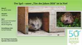 Banner Der Igel - unser "Tier des Jahres 2024" ist in Not!