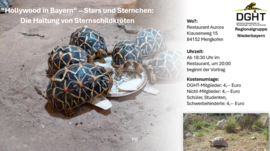 Banner Online: „Hollywood in Bayern“ – Stars und Sternchen: Die Haltung von Sternschildkröten