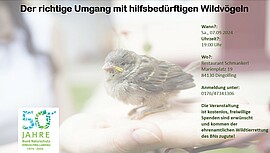 Banner Der richtige Umgang mit hilfsbedürftigen Wildvögeln
