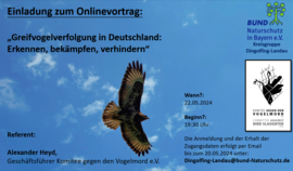 Banner Onlinevortrag: Greifvogelverfolgung in Deutschland - erkennen, bekämpfen, verhindern!