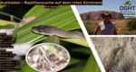 Logo Australien – Reptiliensuche auf dem roten Kontinent - Dirk Volling