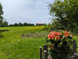 Banner A Gutti für'd Mutti