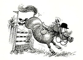 Banner Springkurs mit Thomas Hofbauer