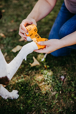Banner Erste Hilfe für Hunde