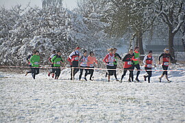 Banner 4. Crosslauf der Arnstorfer LG