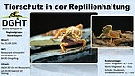 Logo Fachvortrag: Tierschutz in der Reptilienhaltung