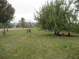 Banner Streuobstwiesenfest der OG Kollbachtal in Kumpfmühl