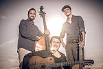 Logo Diknu Schneeberger Trio 