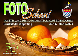 Banner Ausstellung des Foto-Amateur-Clubs Dingolfing