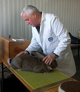 Banner 02.12.2018 Tischbewertung Groß und Kleinsilberclub in Ganacker 