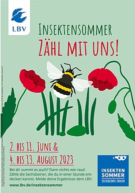 Banner Aktion 2 zum Insektensommer für Kinder und Jugendliche