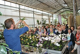 Banner Tagesausflug nach Passau/Bayerischer Wald
