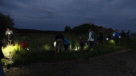 Banner Amphibienexkursion für Kinder und Jugendliche