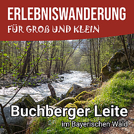 Banner Erlebniswanderung Buchberger Leite