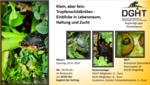 Logo Klein, aber fein: Tropfenschildkröten - Einblicke in Lebensraum, Haltung und Zucht