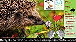Logo Kinder-Workshop in Mengkofen über den Igel